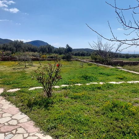 “Villa Othon-Leni” Paralia Demonias Buitenkant foto