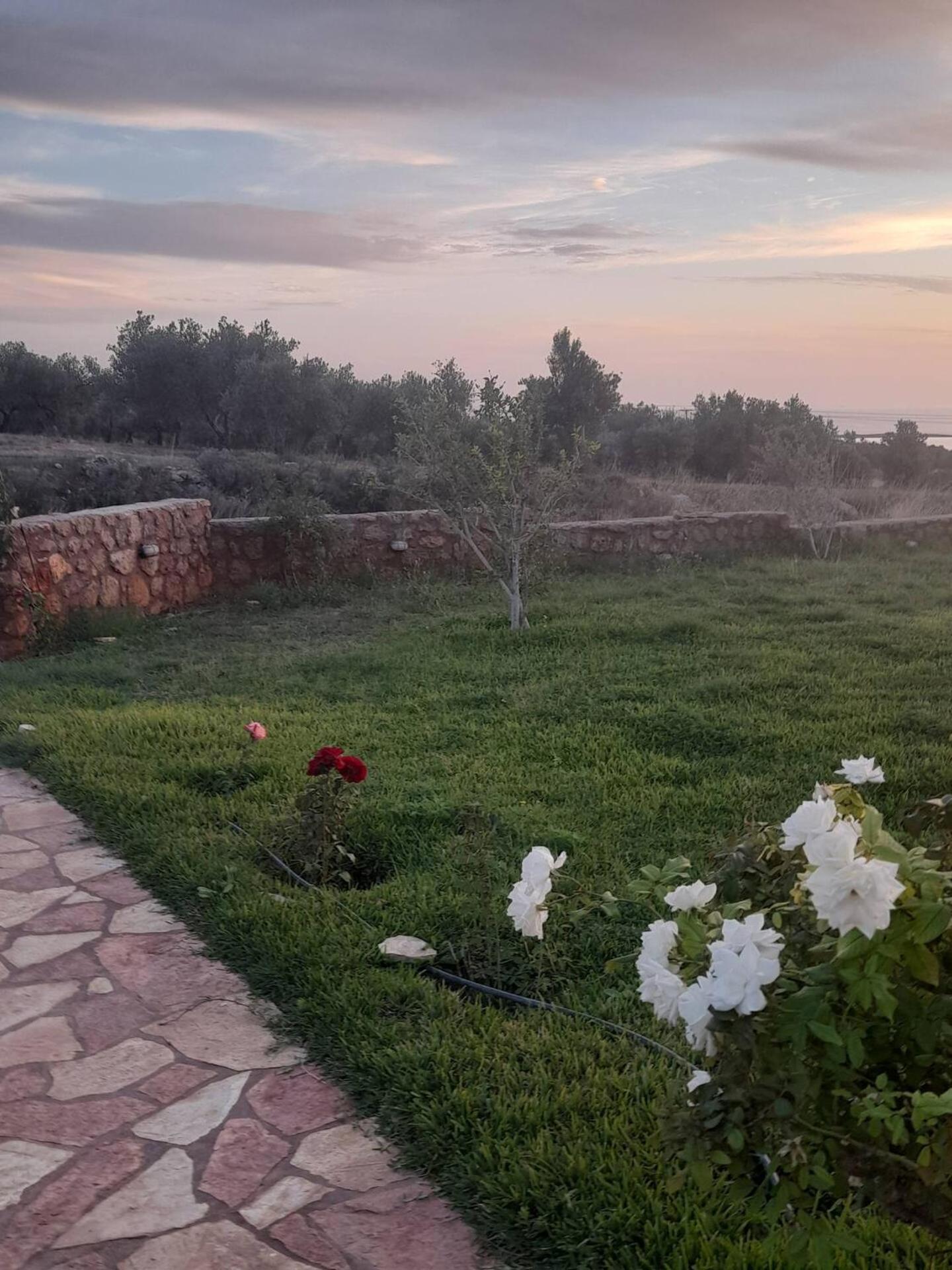 “Villa Othon-Leni” Paralia Demonias Buitenkant foto