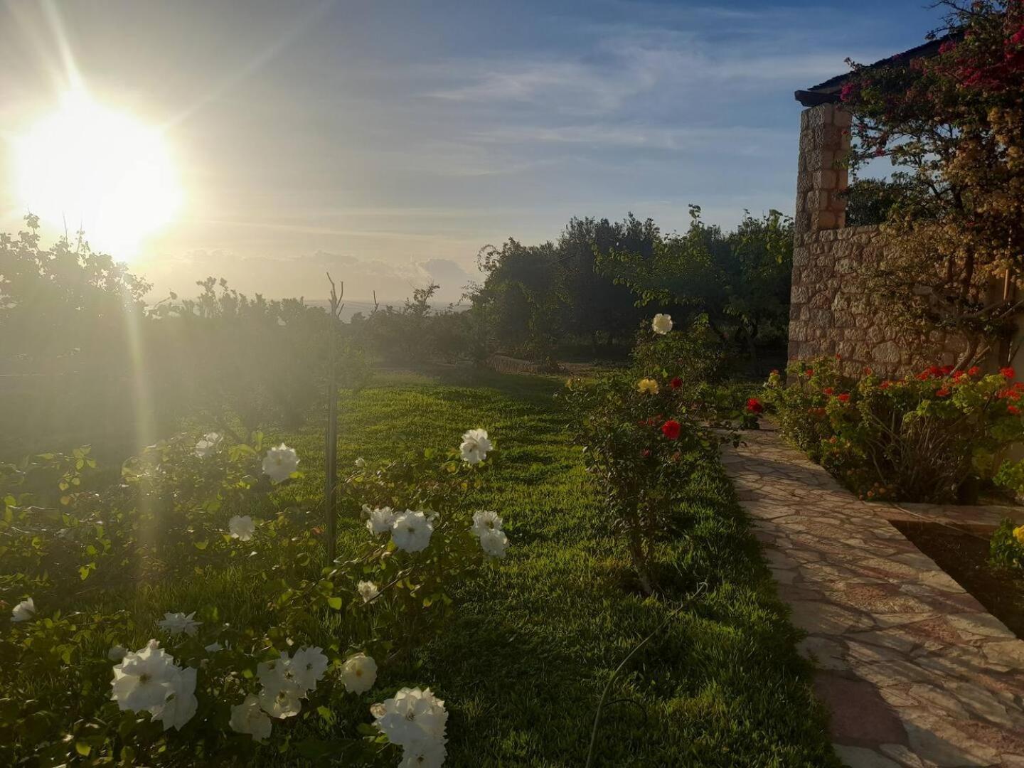 “Villa Othon-Leni” Paralia Demonias Buitenkant foto